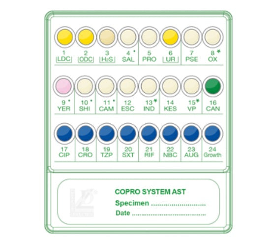 Sistema per la ricerca ed identificazione di batteri patogeni intestinali da campione fecale Copro System plus - Conf.20 test