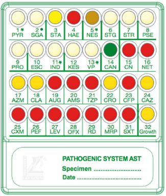Identificazione e test di sensibilità antimicrobica Pathogenic System Ast 20 test