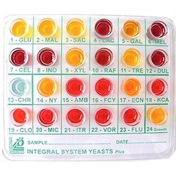Integral System Yeasts Plus 20 test