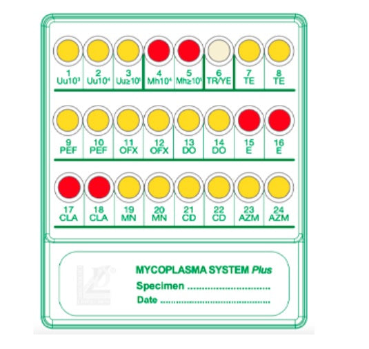 Sistema per ricerca conta e antibiogramma dei micoplasmi urogenitali Mycoplasma System plus 20 test