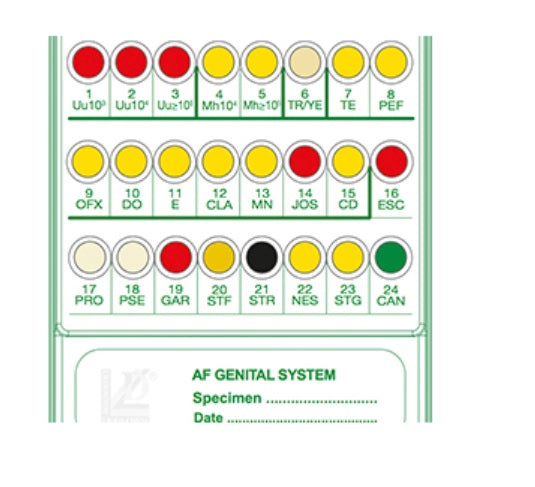 LIOFILCHEM A.F. Genital System - Sistema per ricerca, conta e antibiogramma germi patogeni urogenitali
