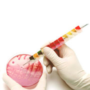 Sistema di test EnteroPluri
con 12 terreni di agar mediante inoculo simultaneo per l' identificazione di Enterobacteriaceae  10 test
