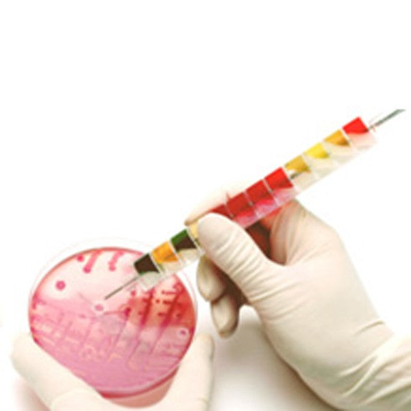 Sistema di test EnteroPluri
con 12 terreni di agar mediante inoculo simultaneo per l' identificazione di Enterobacteriaceae  10 test