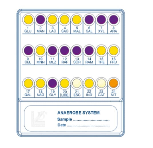 LIOFILCHEM Anaerobe System - Sistema per l’identificazione dei microrganismi anaerobi