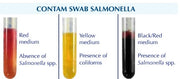 Contam Swab Salmonella 30 tests